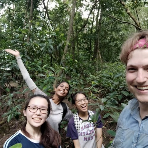 Jie Min, Nikita, Min Yi, & Jared celebrate the completion of the 3rd seedling census!